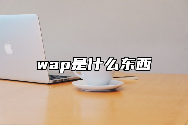 wap是什么东西