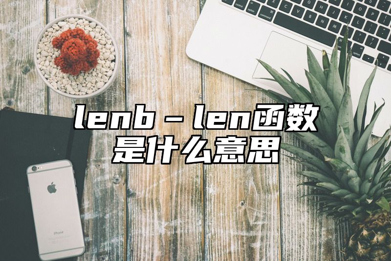 lenb–len函数是什么意思