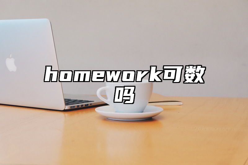 homework可数吗