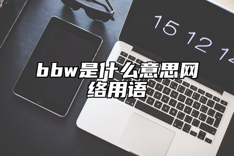 bbw是什么意思网络用语